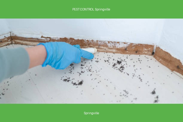 PEST CONTROL Springville